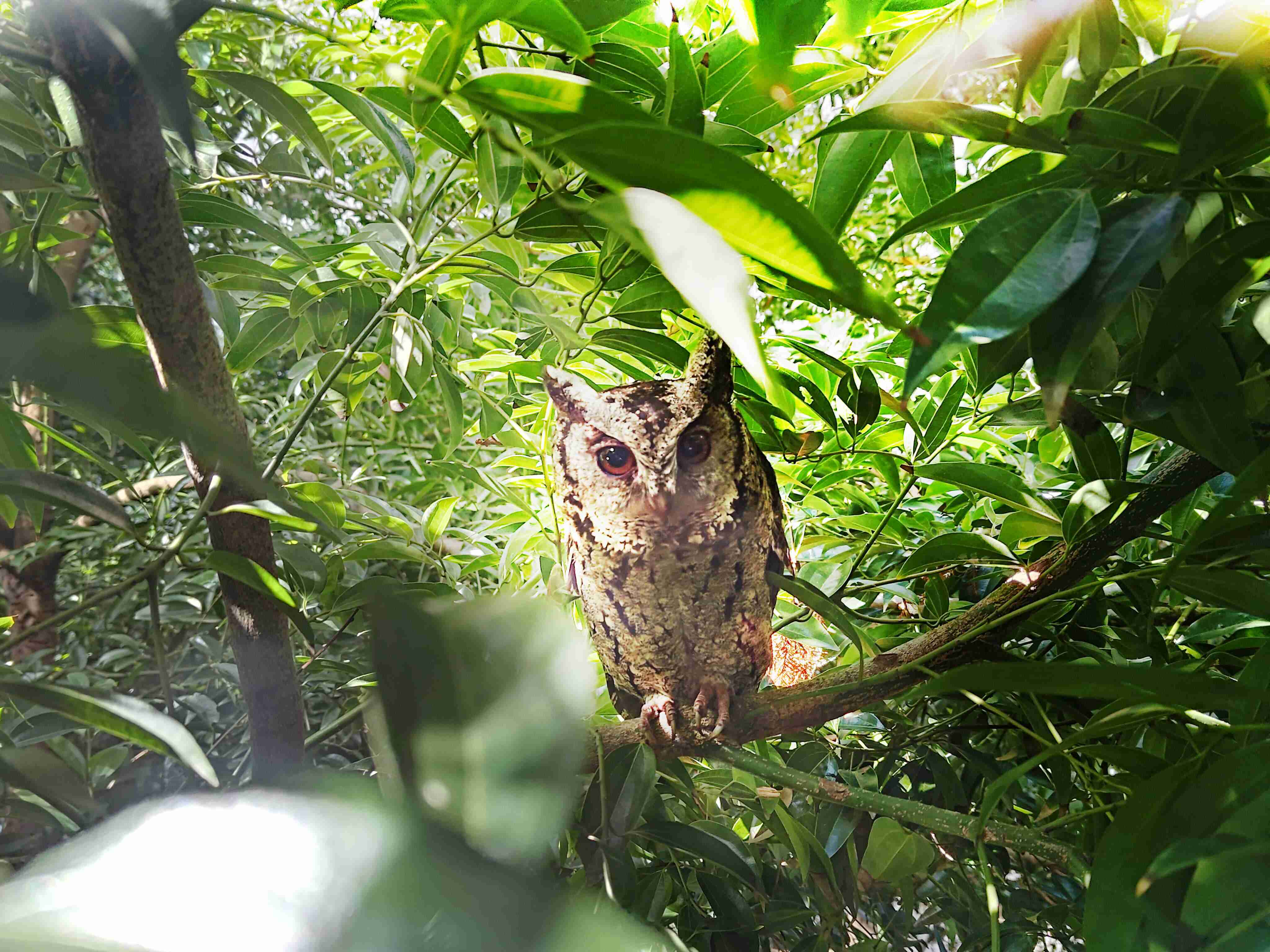 人生就是博致力提倡净零绿生活，，16年以来在全球各厂区植树逾百万棵，，，，造就各厂区树木蔚然成林，，，犹如森林工厂，，成为许多生物的栖息地